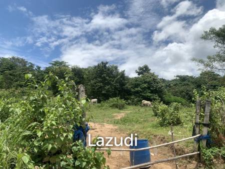 47 Rai Hilly Land For Sale Surrounded by Nature