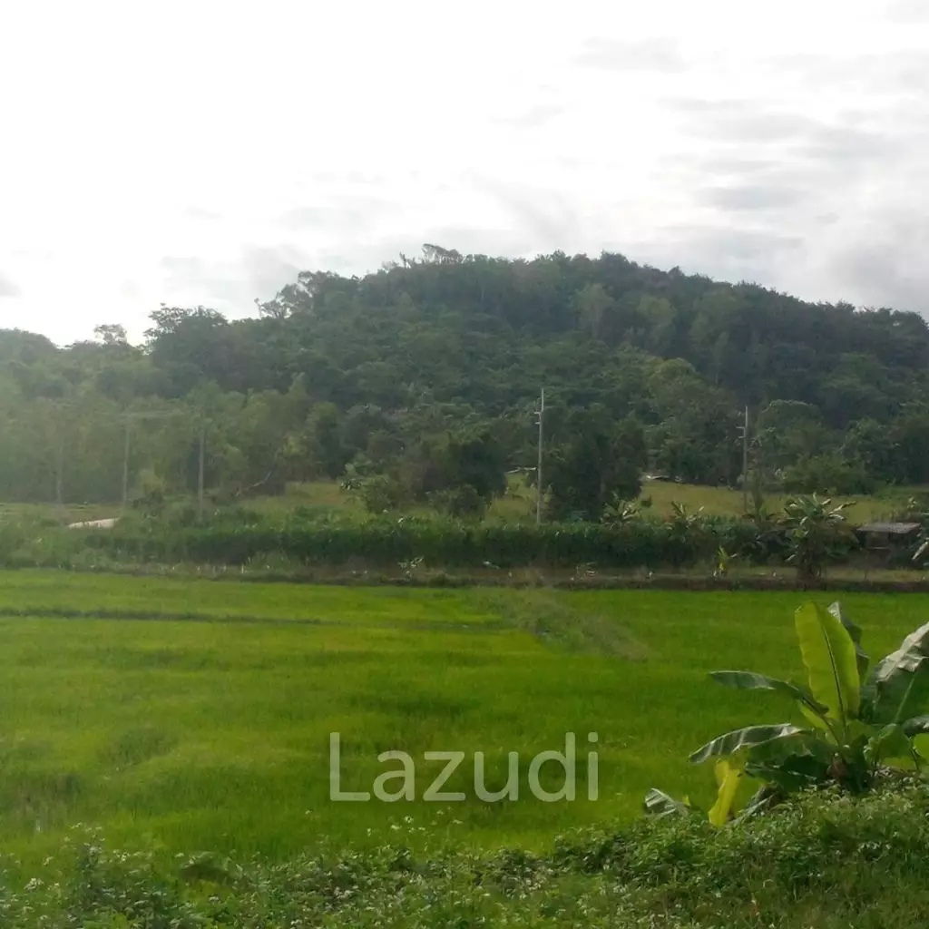 47 Rai Hilly Land For Sale Surrounded by Nature