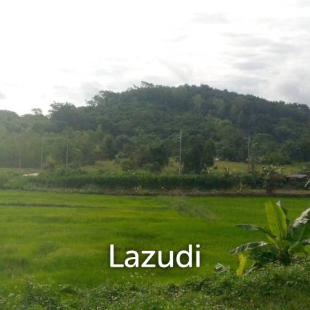 47 Rai Hilly Land For Sale Surrounded by Nature