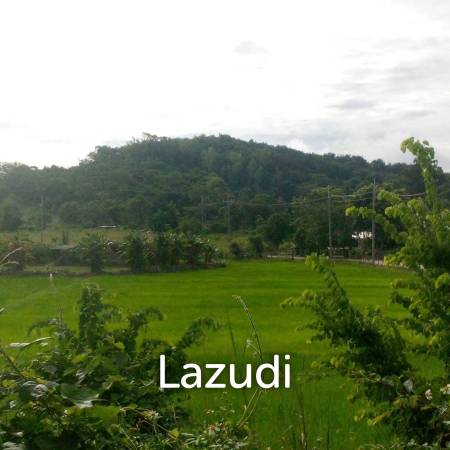 47 Rai Hilly Land For Sale Surrounded by Nature
