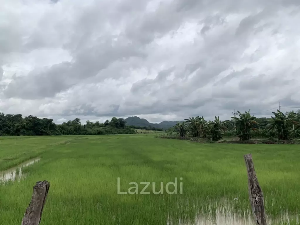 47 Rai Hilly Land For Sale Surrounded by Nature