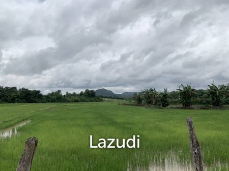 47 Rai Hilly Land For Sale Surrounded by Nature