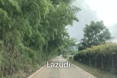 ขายที่ดิน 47 ไร่บนเนิน วิวภูเขาสวย ราายล้อมด้วยธรรมชาติ