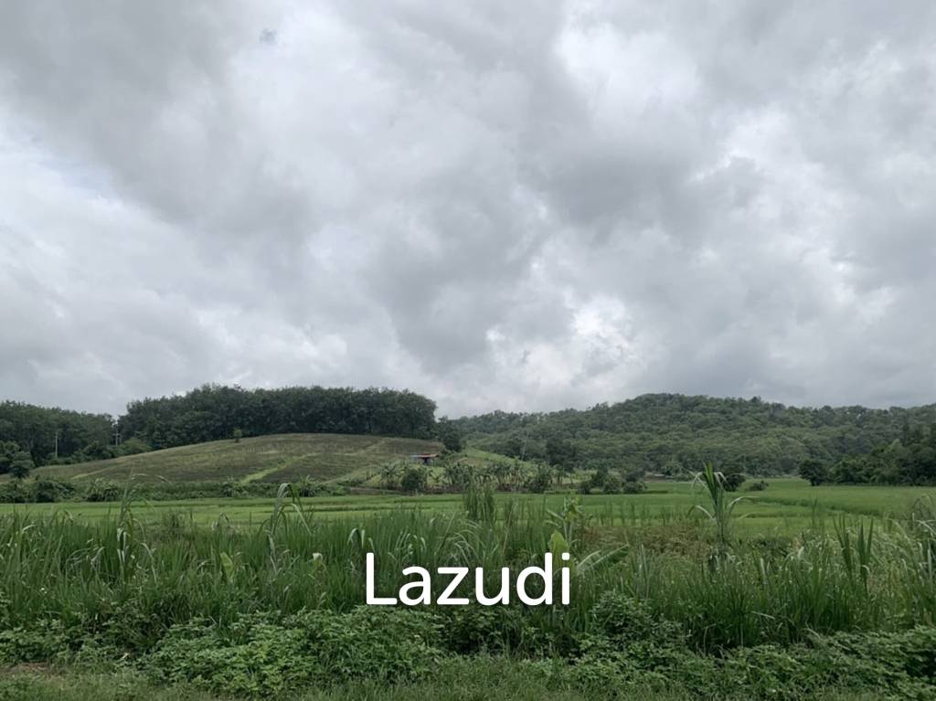 47 Rai Hilly Land For Sale Surrounded by Nature