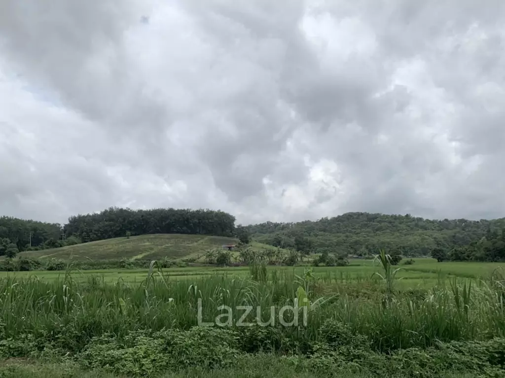 47 Rai Hilly Land For Sale Surrounded by Nature