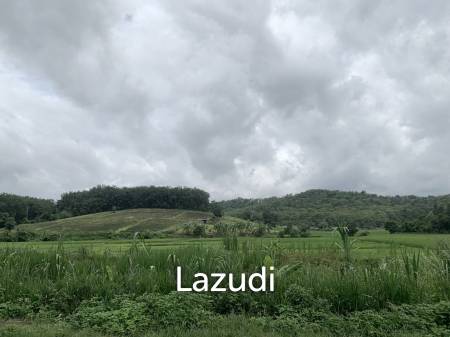 47 Rai Hilly Land For Sale Surrounded by Nature