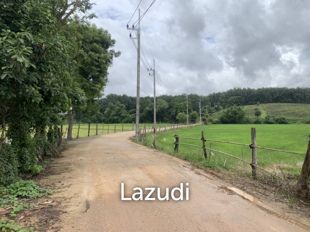 47 Rai Hilly Land For Sale Surrounded by Nature