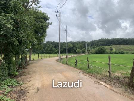 47 Rai Hilly Land For Sale Surrounded by Nature