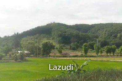 ขายที่ดิน 47 ไร่บนเนิน วิวภูเขาสวย ราายล้อมด้วยธรรมชาติ