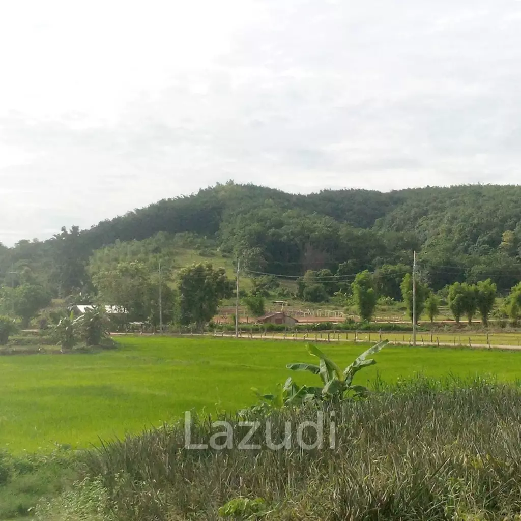 47 Rai Hilly Land For Sale Surrounded by Nature