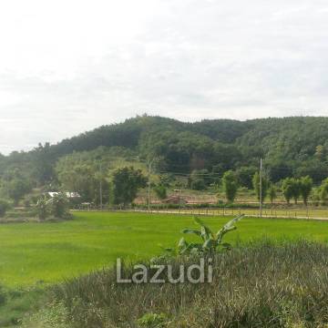 47 Rai Hilly Land For Sale Surrounded by Nature