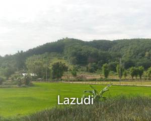 47 Rai Hilly Land For Sale Surrounded by Nature