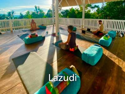 Serene Coffee  Detox Retreat with Yoga Space in a Lush 1,600 sqm Garden with Private Waterfall
