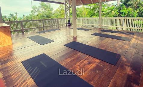 Serene Coffee  Detox Retreat with Yoga Space in a Lush 1,600 sqm Garden with Private Waterfall