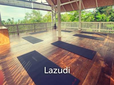 Serene Coffee  Detox Retreat with Yoga Space in a Lush 1,600 sqm Garden with Private Waterfall