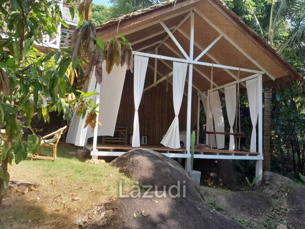Serene Coffee  Detox Retreat with Yoga Space in a Lush 1,600 sqm Garden with Private Waterfall