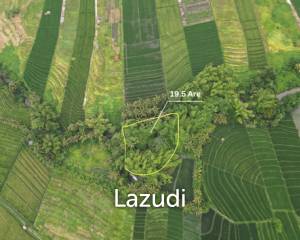 Prime 19,5 Are Freehold Land in Kedungu – A Growing Investment Opportunity