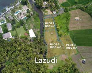 Affordable Beachside Land for Sale Freehold in Jasri Karangasem Bali