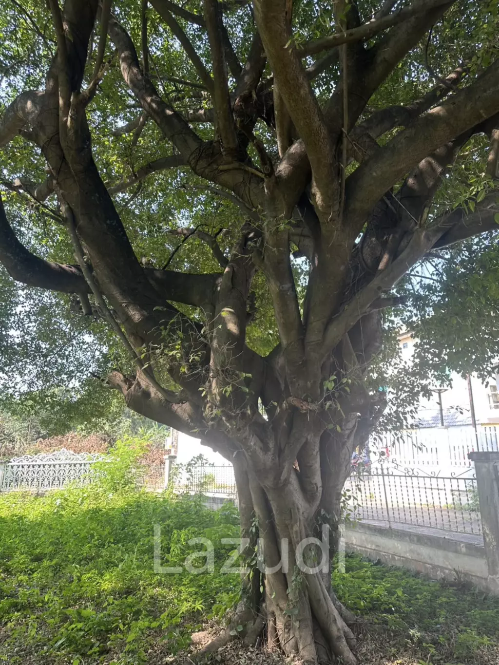 3 Bedrooms House For Sale with 1 Rai of Land near to Airport