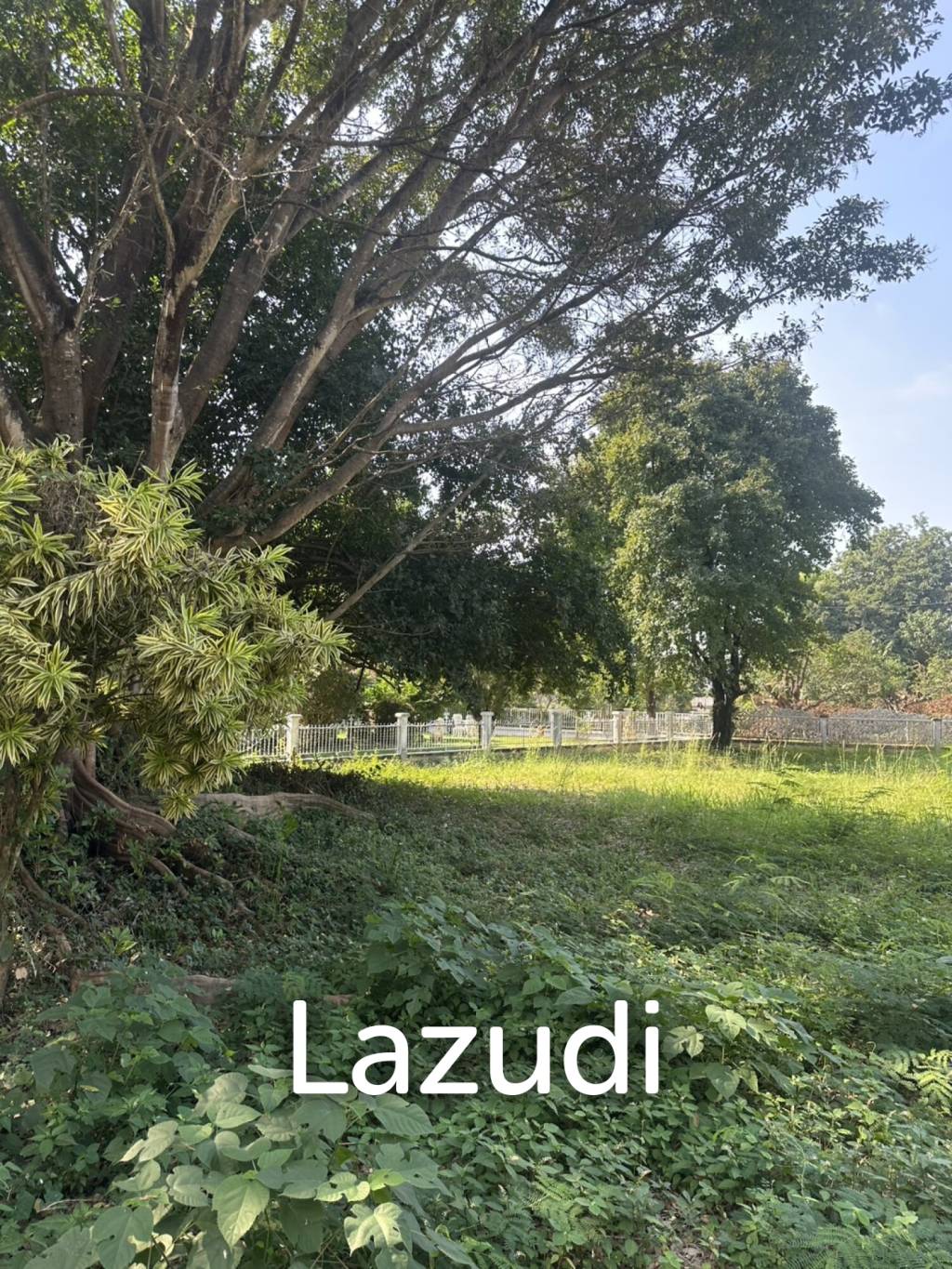 3 Bedrooms House For Sale with 1 Rai of Land near to Airport