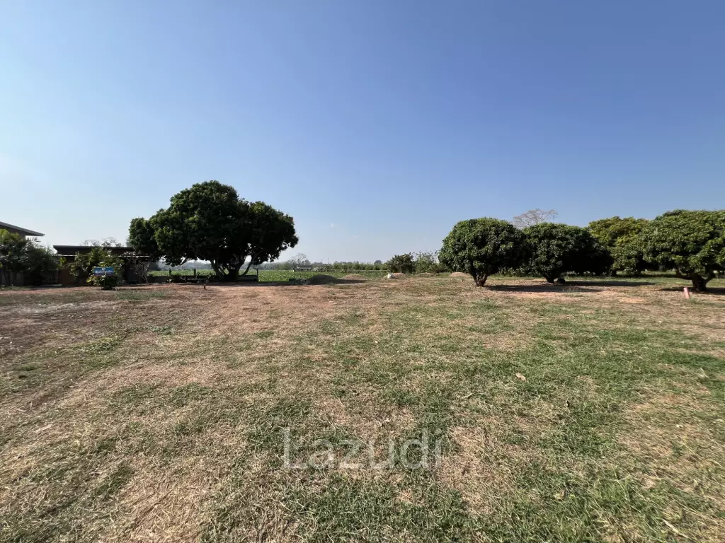 Selling Land 1 Rai 8 Plots For Investment