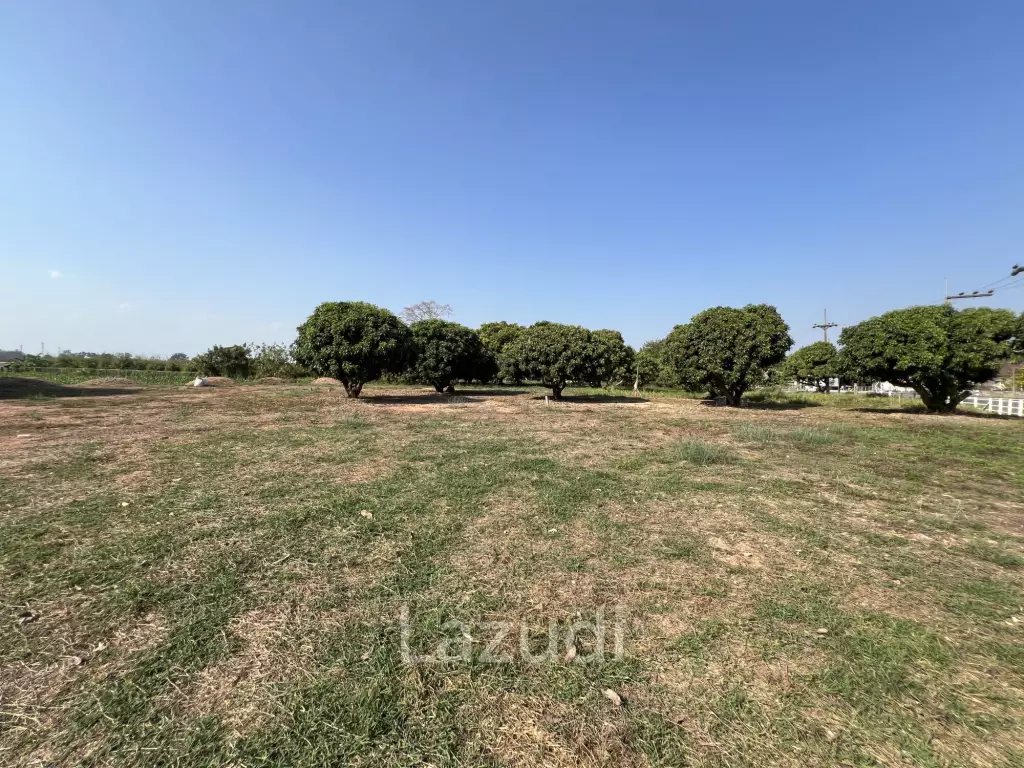 Selling Land 1 Rai 8 Plots For Investment