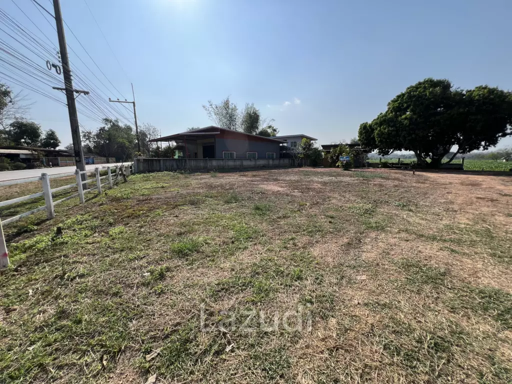 Selling Land 1 Rai 8 Plots For Investment