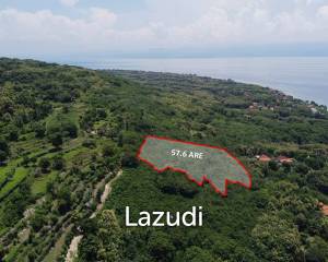 PRIME FREEHOLD LAND WITH OCEAN VIEWS IN NUSA PENIDA