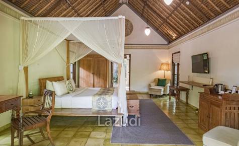 Monthly and Yearly Rental Villa short drive from Buzzling Canggu
