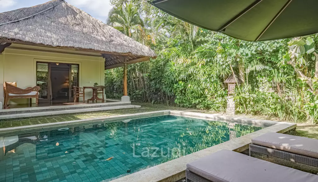 Monthly and Yearly Rental Villa short drive from Buzzling Canggu