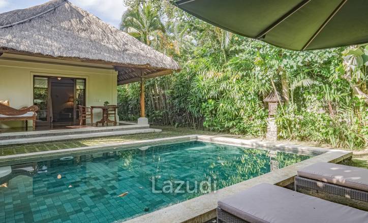 Monthly and Yearly Rental Villa short drive from Buzzling Canggu