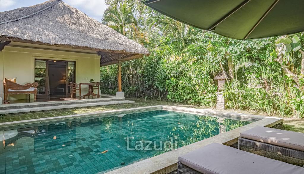 Monthly and Yearly Rental Villa short drive from Buzzling Canggu