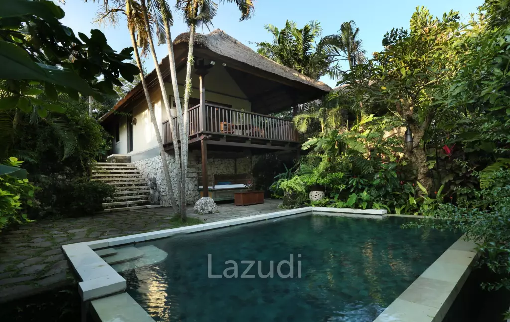 Monthly and Yearly Rental Villa short drive from Buzzling Canggu