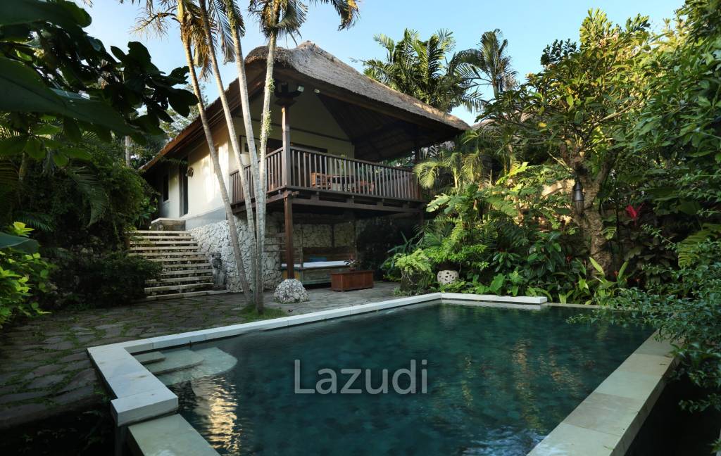 Monthly and Yearly Rental Villa short drive from Buzzling Canggu
