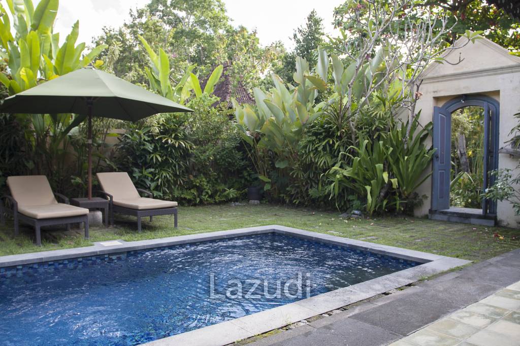 Monthly and Yearly Rental Villa short drive from Buzzling Canggu