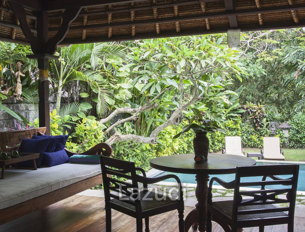 Monthly and Yearly Rental Villa short drive from Buzzling Canggu