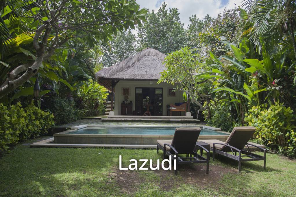 Monthly and Yearly Rental Villa short drive from Buzzling Canggu
