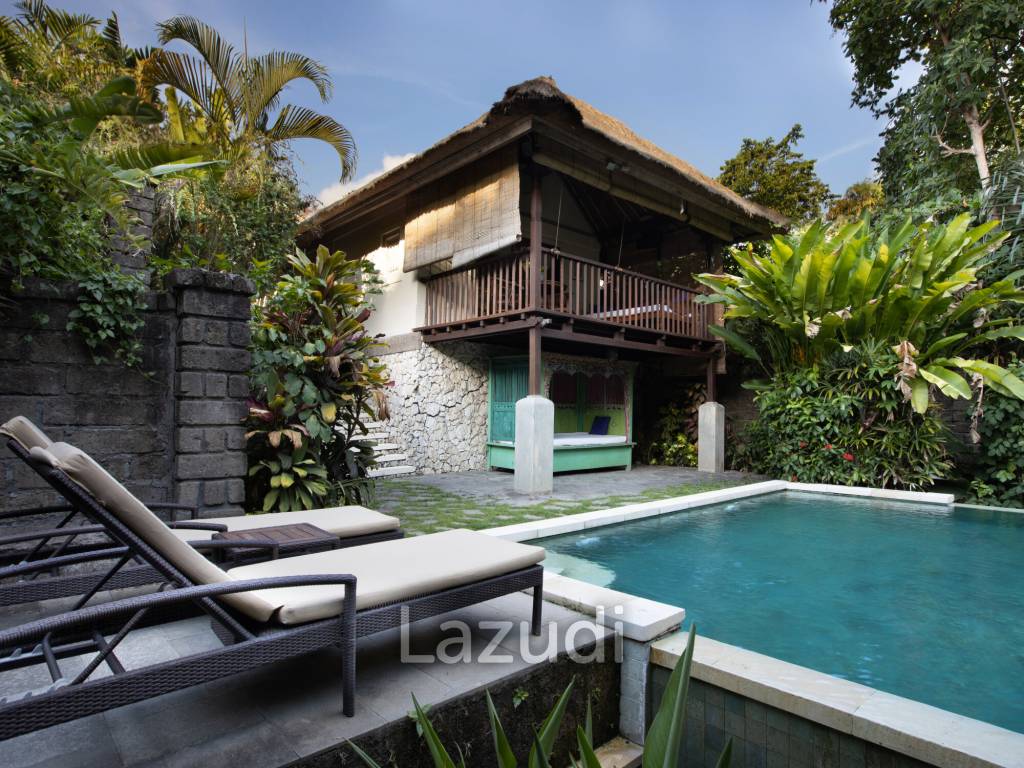 Monthly and Yearly Rental Villa short drive from Buzzling Canggu