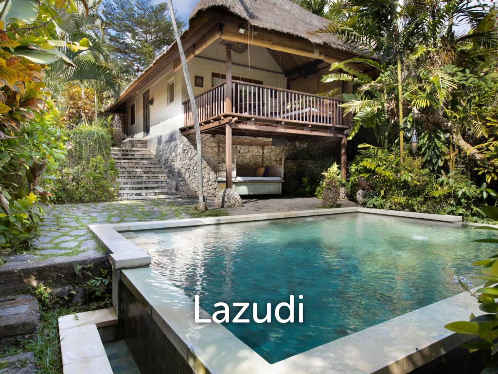 Monthly and Yearly Rental Villa short drive from Buzzling Canggu