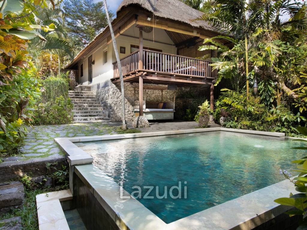 Monthly and Yearly Rental Villa short drive from Buzzling Canggu