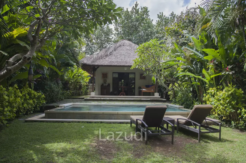 Monthly and Yearly Rental Villa short drive from Buzzling Canggu