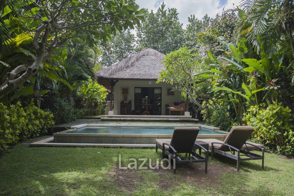 Monthly and Yearly Rental Villa short drive from Buzzling Canggu