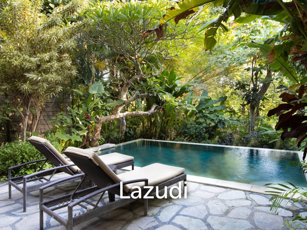 Monthly and Yearly Rental Villa short drive from Buzzling Canggu