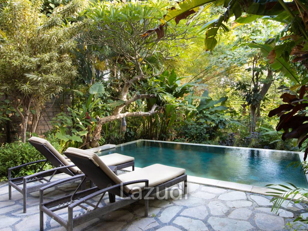 Monthly and Yearly Rental Villa short drive from Buzzling Canggu