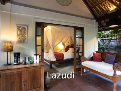 Monthly and Yearly Rental 2 Bedroom Villa short drive from Buzzling Canggu