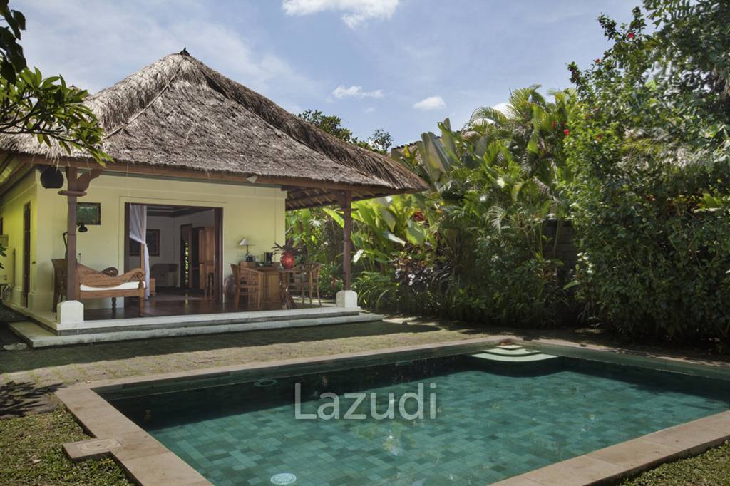 Monthly and Yearly Rental 2 Bedroom Villa short drive from Buzzling Canggu