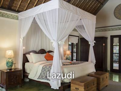 Monthly and Yearly Rental 2 Bedroom Villa short drive from Buzzling Canggu