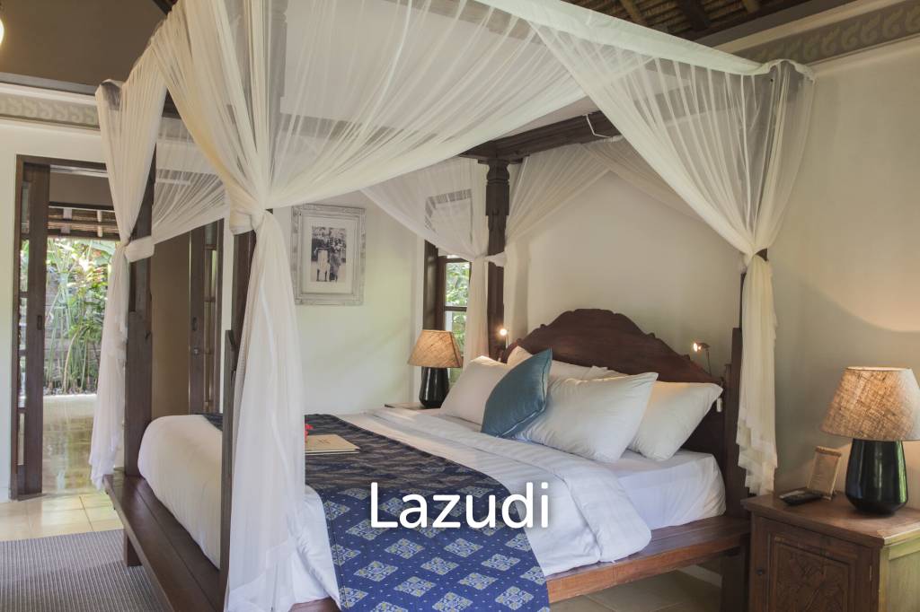 Monthly and Yearly Rental 2 Bedroom Villa short drive from Buzzling Canggu