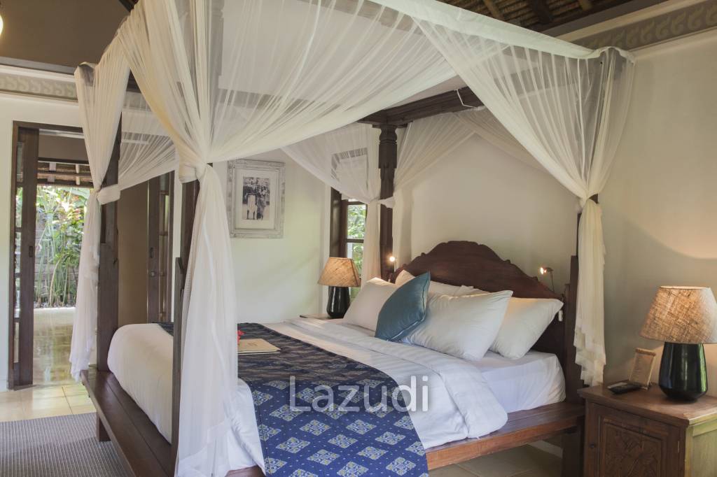 Monthly and Yearly Rental 2 Bedroom Villa short drive from Buzzling Canggu