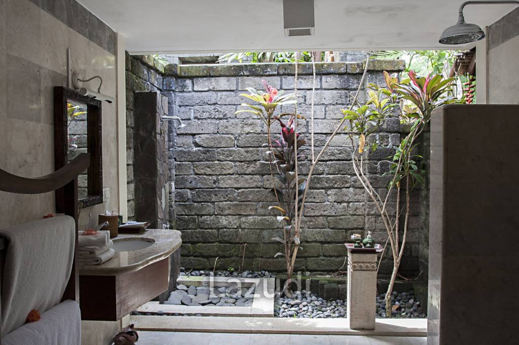 Monthly and Yearly Rental 2 Bedroom Villa short drive from Buzzling Canggu